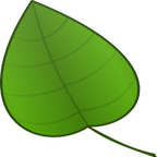Vera Scenes icon