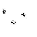 Appy Bird icon