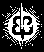 Beta Brand icon