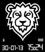 BORN A LION icon