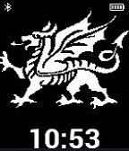 Welsh Dragon icon