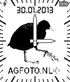 Andrew Birdie icon