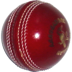 Cricket Counter icon