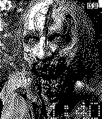 Walking Dead Zombie icon