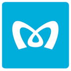 Tokyo Metro icon