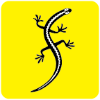 Skink GPS icon