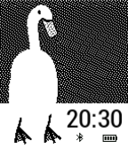 What the Duck? icon