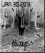 Always Stag Analog icon