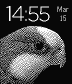 Barraband Parrot icon