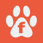 FitCat icon