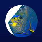 FishCenter Standings icon
