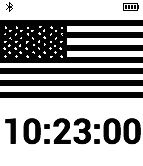 US Flag icon