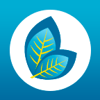 FLAG Savia for Pebble icon