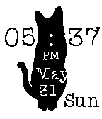 Black and White Cat 12 icon