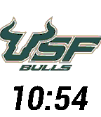 University Of South Florida icon