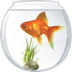 Aquarium icon