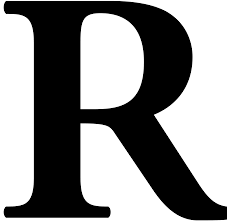 Daily Riddle icon