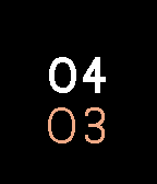 Verticalface icon