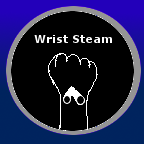 Wrist Steam icon