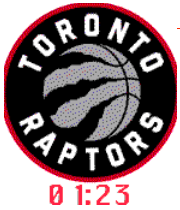 Toronto Raptor New Logo icon