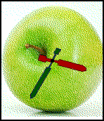 Apple icon