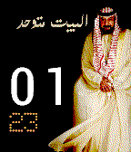 UAE 2 icon