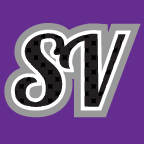 StepVerse Friends icon