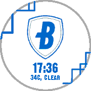 Bluecoats 2016: Downside Up icon