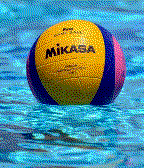 water polo ball icon