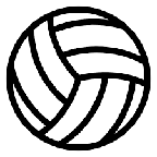 Volleyball match live stats icon