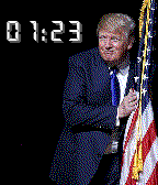 Trump Flag icon