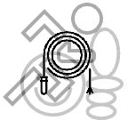 Whip icon