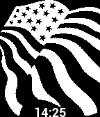 US Flag icon